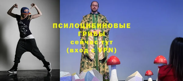 прущие грибы Няндома