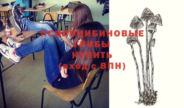 прущие грибы Няндома