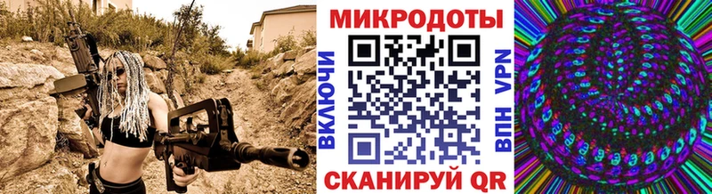цена   Шилка  Псилоцибиновые грибы мицелий 